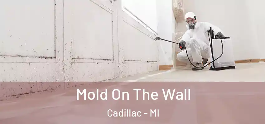  Mold On The Wall Cadillac - MI
