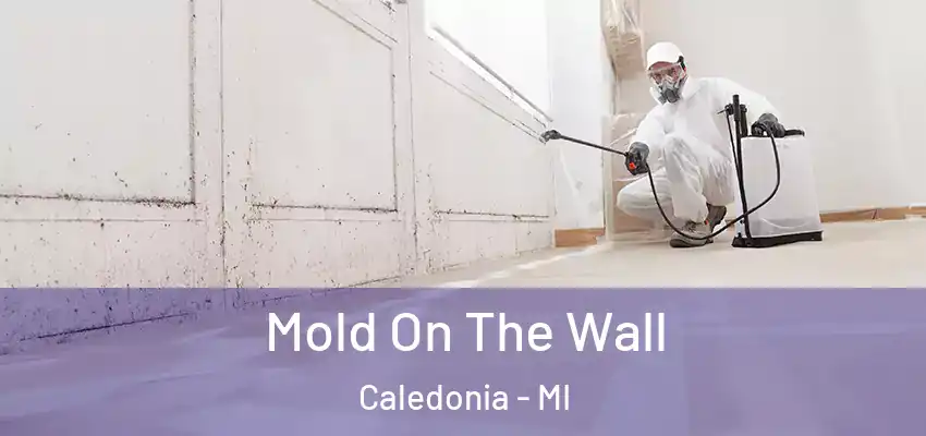  Mold On The Wall Caledonia - MI