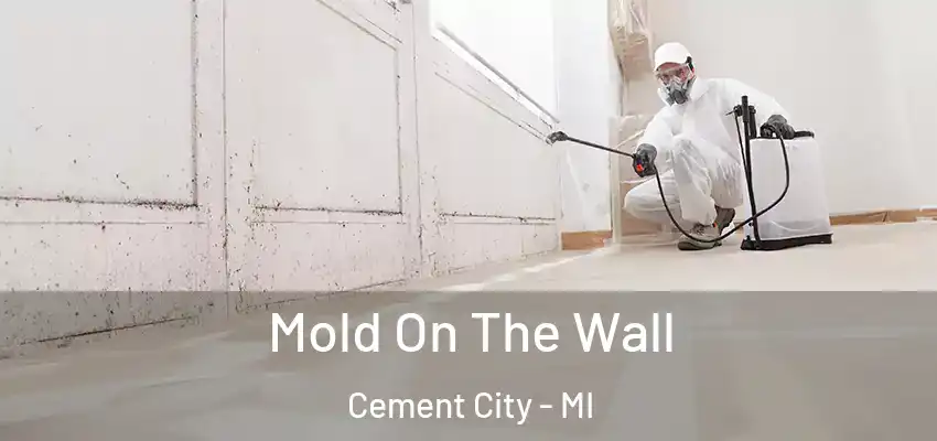  Mold On The Wall Cement City - MI