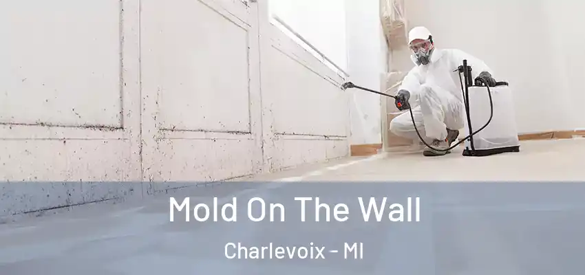  Mold On The Wall Charlevoix - MI
