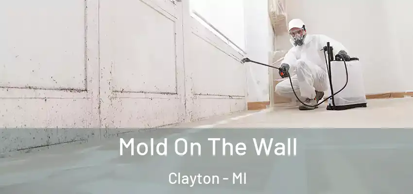  Mold On The Wall Clayton - MI