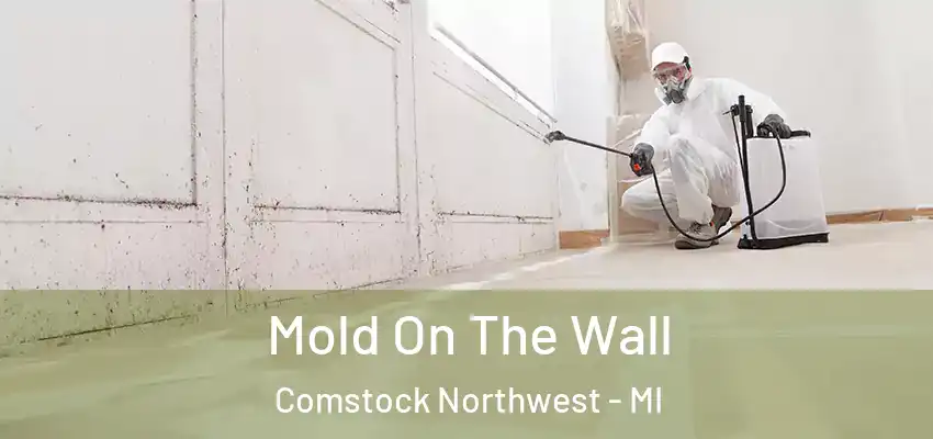  Mold On The Wall Comstock Northwest - MI