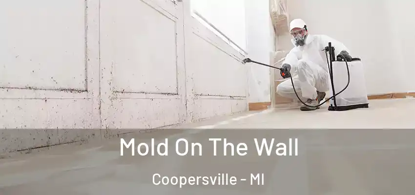 Mold On The Wall Coopersville - MI