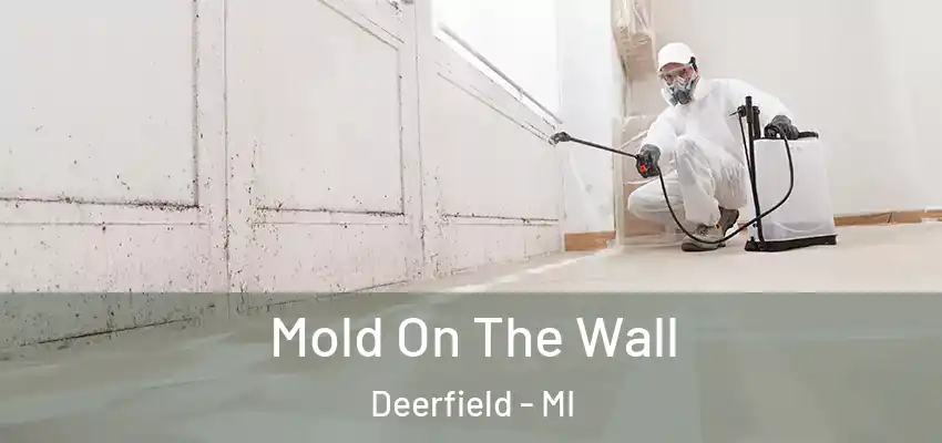  Mold On The Wall Deerfield - MI