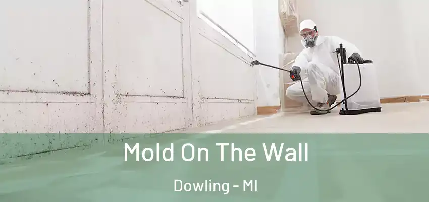 Mold On The Wall Dowling - MI