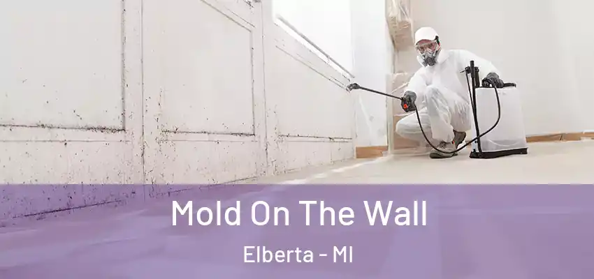 Mold On The Wall Elberta - MI