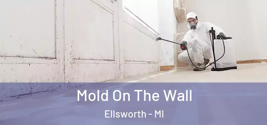  Mold On The Wall Ellsworth - MI