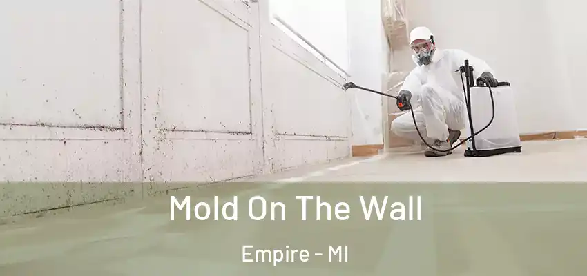  Mold On The Wall Empire - MI