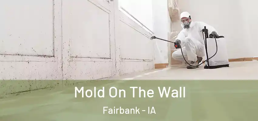  Mold On The Wall Fairbank - IA