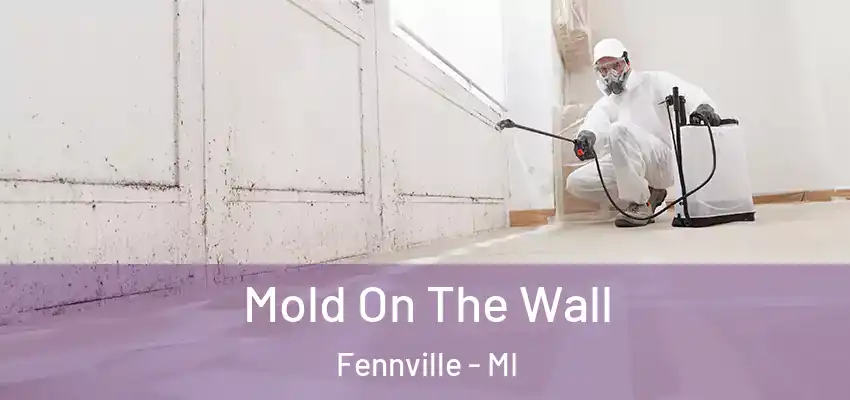  Mold On The Wall Fennville - MI