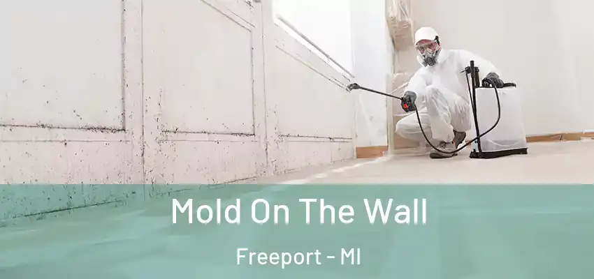 Mold On The Wall Freeport - MI