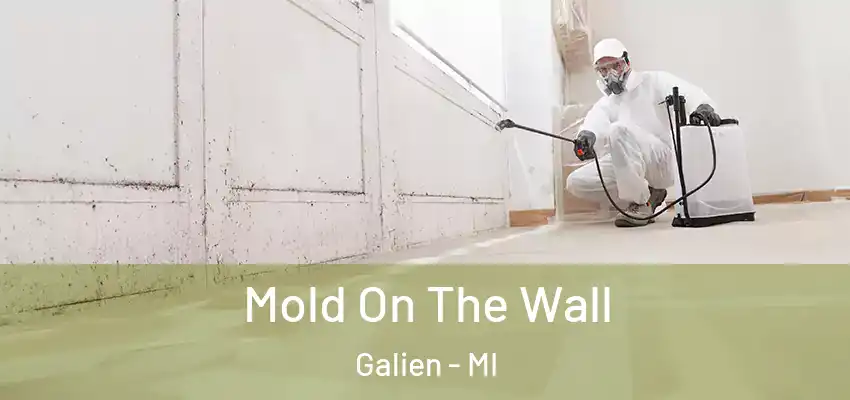  Mold On The Wall Galien - MI