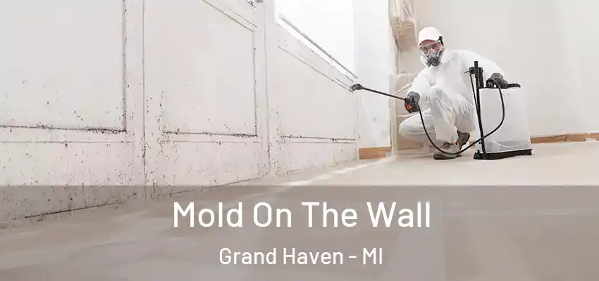 Mold On The Wall Grand Haven - MI