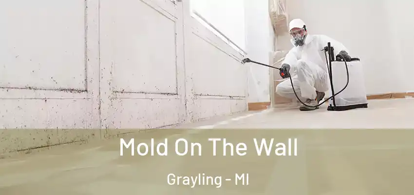 Mold On The Wall Grayling - MI