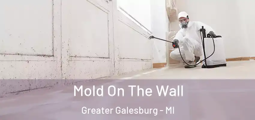  Mold On The Wall Greater Galesburg - MI