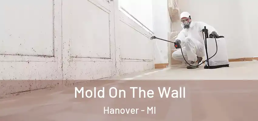 Mold On The Wall Hanover - MI