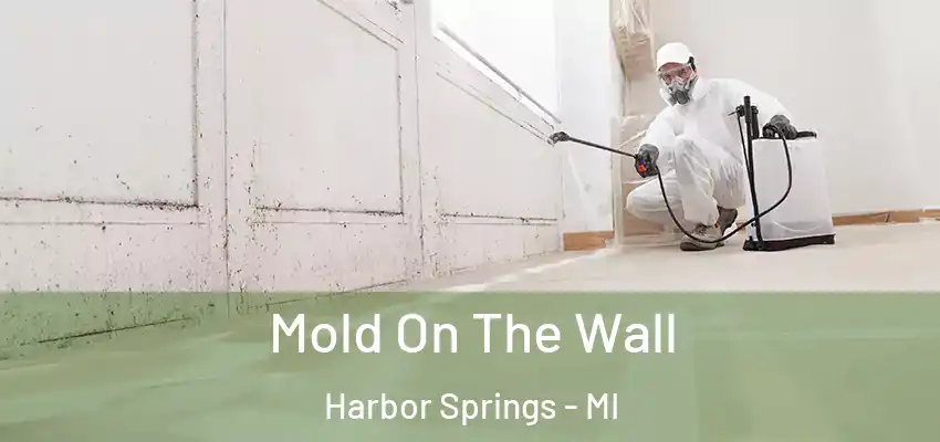Mold On The Wall Harbor Springs - MI