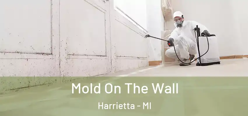 Mold On The Wall Harrietta - MI