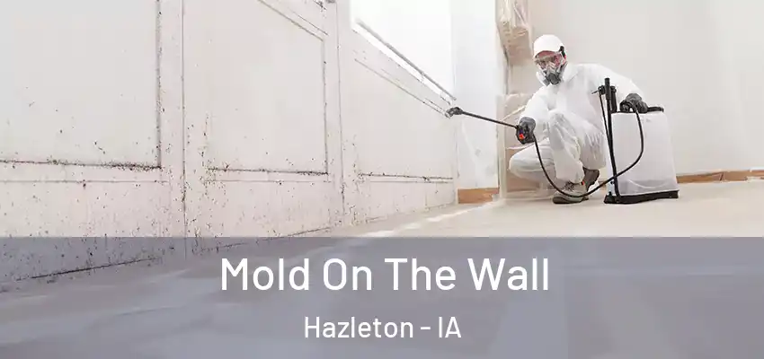 Mold On The Wall Hazleton - IA