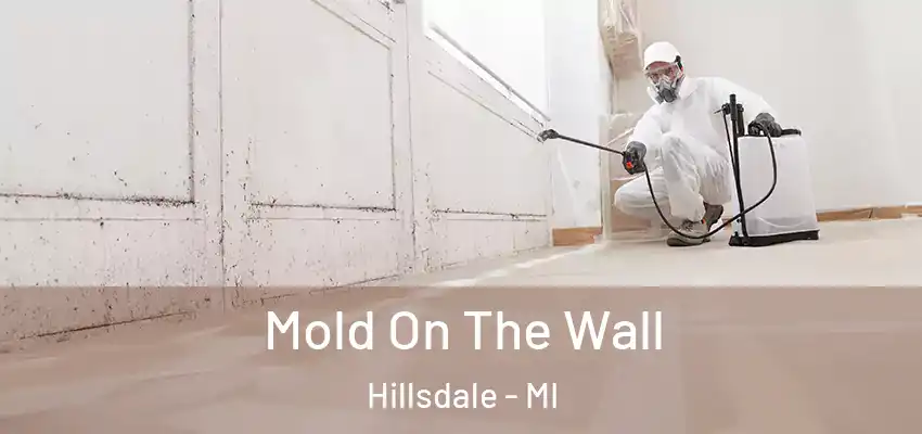  Mold On The Wall Hillsdale - MI