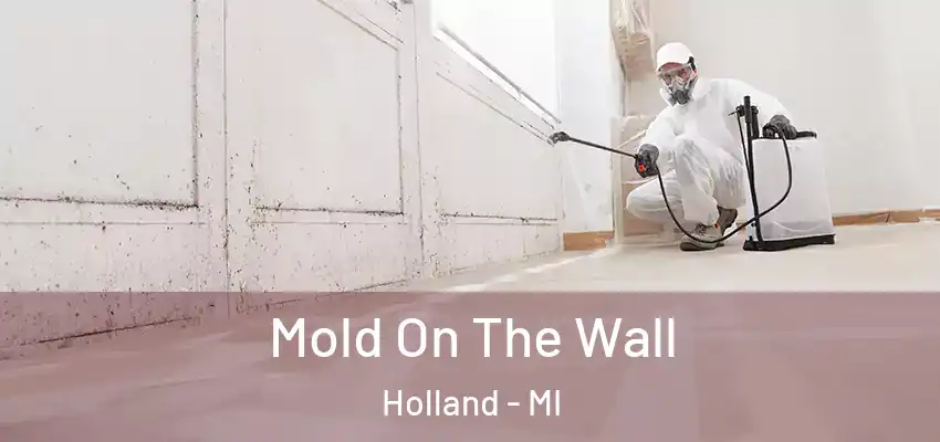 Mold On The Wall Holland - MI