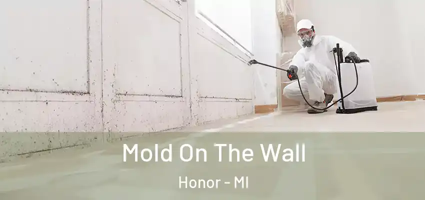  Mold On The Wall Honor - MI