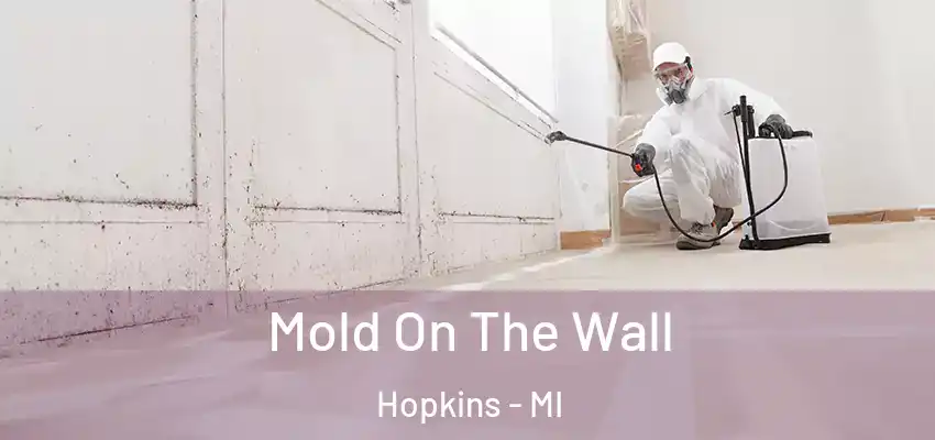 Mold On The Wall Hopkins - MI