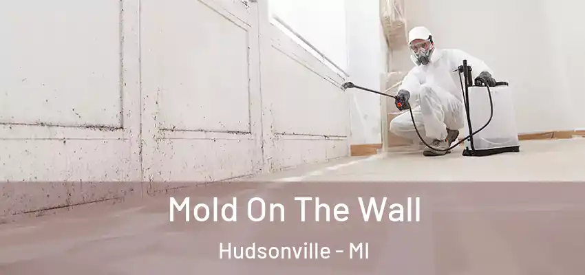 Mold On The Wall Hudsonville - MI