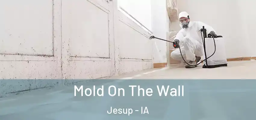  Mold On The Wall Jesup - IA
