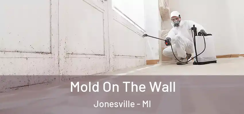 Mold On The Wall Jonesville - MI