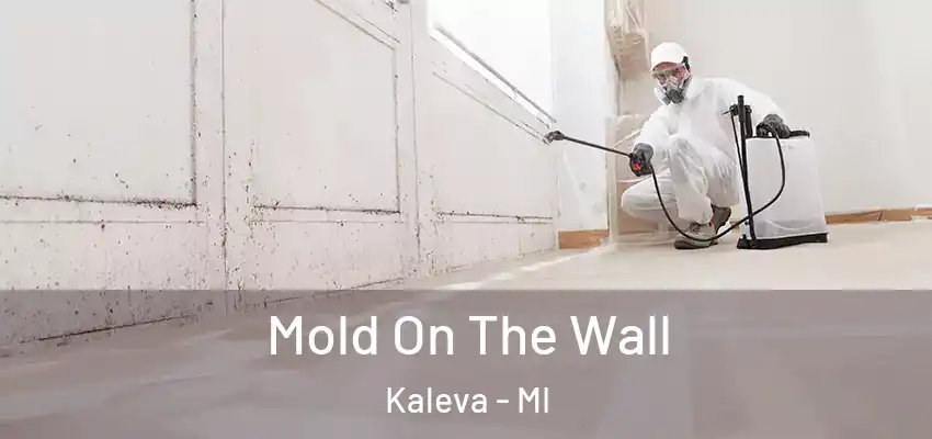  Mold On The Wall Kaleva - MI
