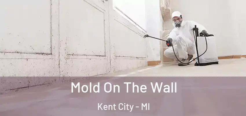 Mold On The Wall Kent City - MI