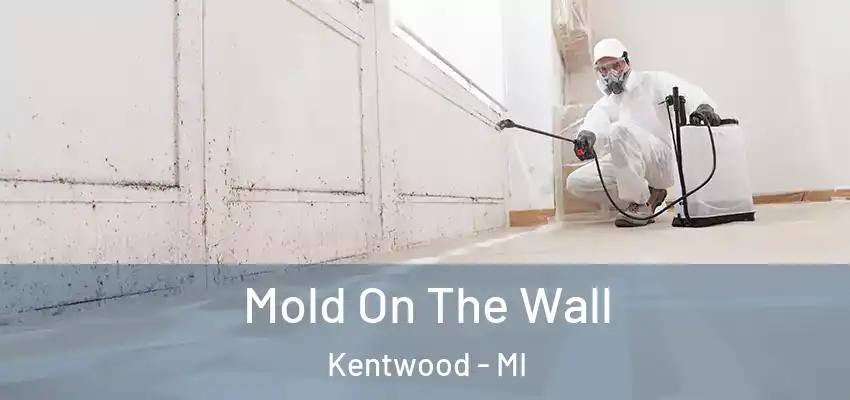  Mold On The Wall Kentwood - MI
