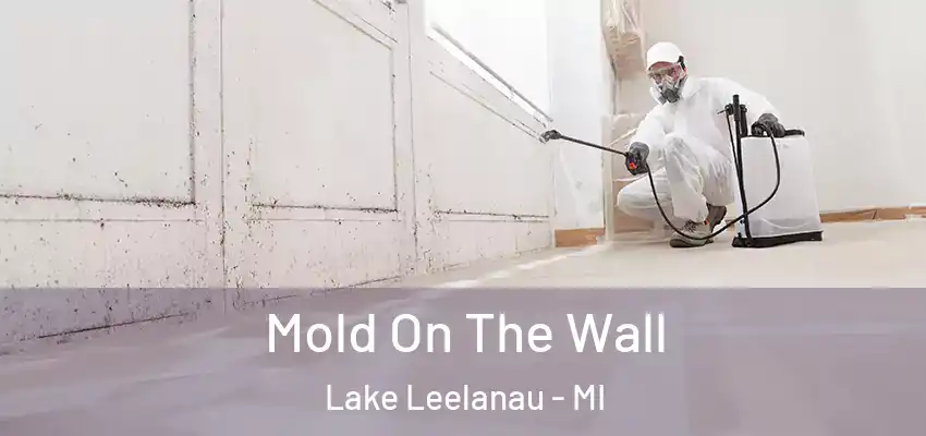  Mold On The Wall Lake Leelanau - MI