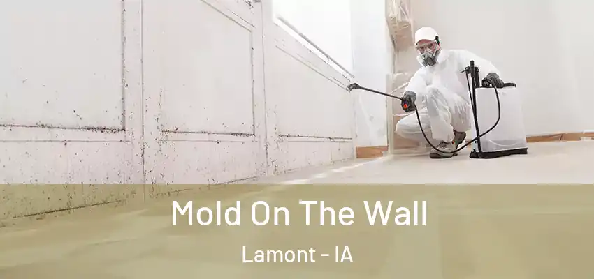  Mold On The Wall Lamont - IA