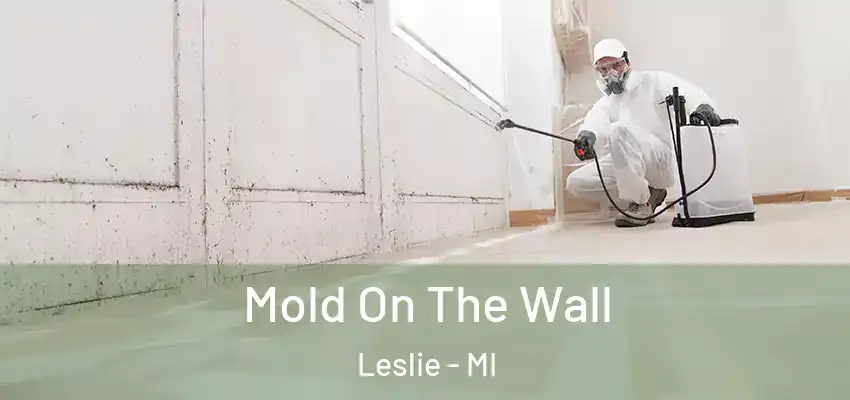  Mold On The Wall Leslie - MI