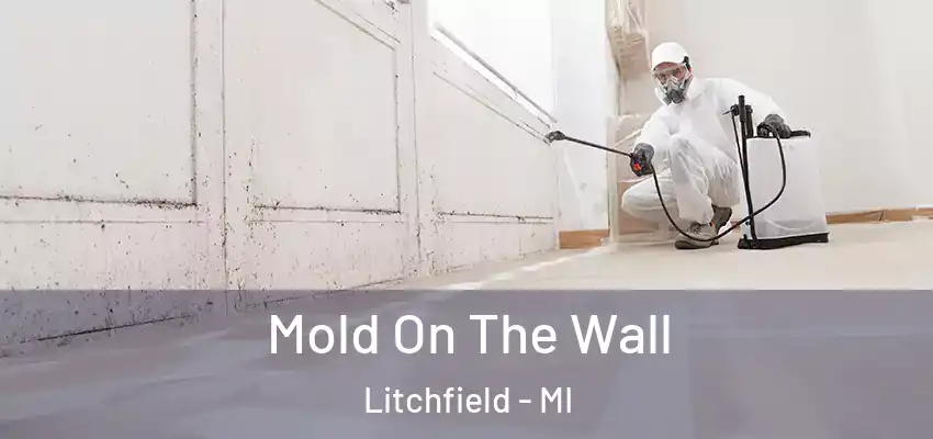  Mold On The Wall Litchfield - MI