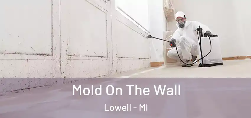  Mold On The Wall Lowell - MI