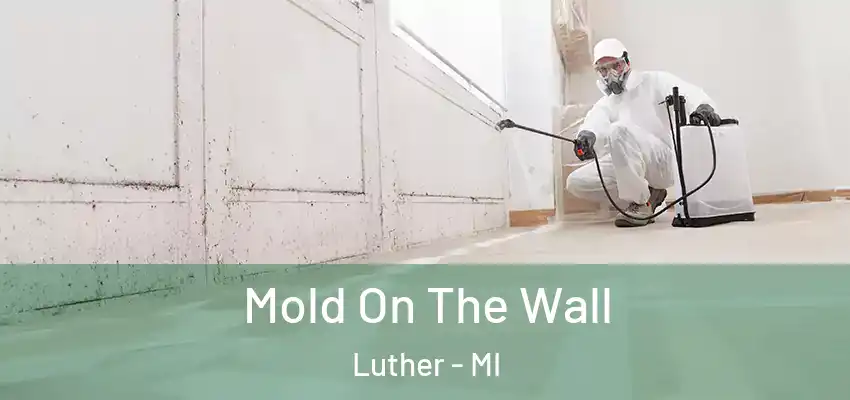  Mold On The Wall Luther - MI