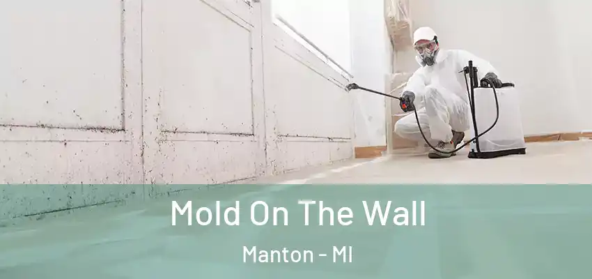 Mold On The Wall Manton - MI