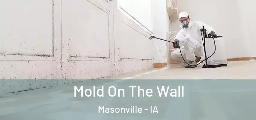  Mold On The Wall Masonville - IA