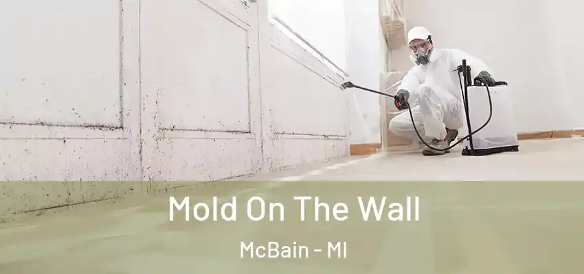  Mold On The Wall McBain - MI