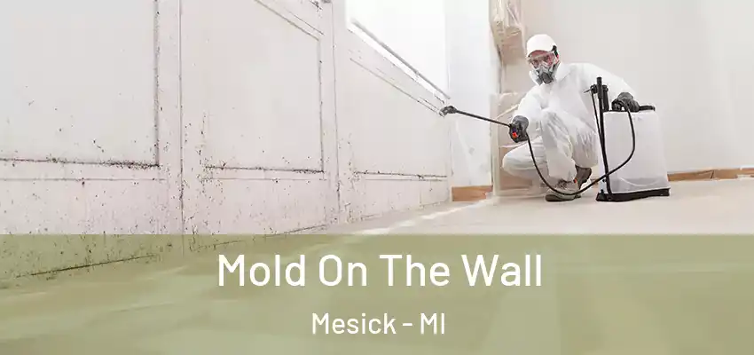 Mold On The Wall Mesick - MI