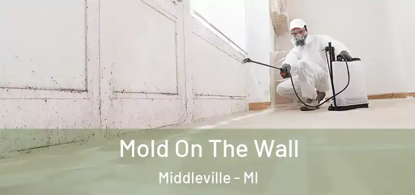  Mold On The Wall Middleville - MI