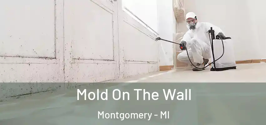  Mold On The Wall Montgomery - MI