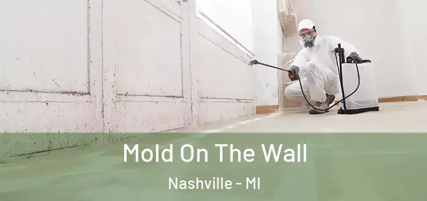  Mold On The Wall Nashville - MI