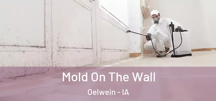  Mold On The Wall Oelwein - IA