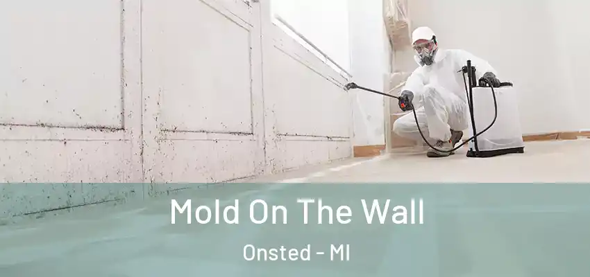  Mold On The Wall Onsted - MI