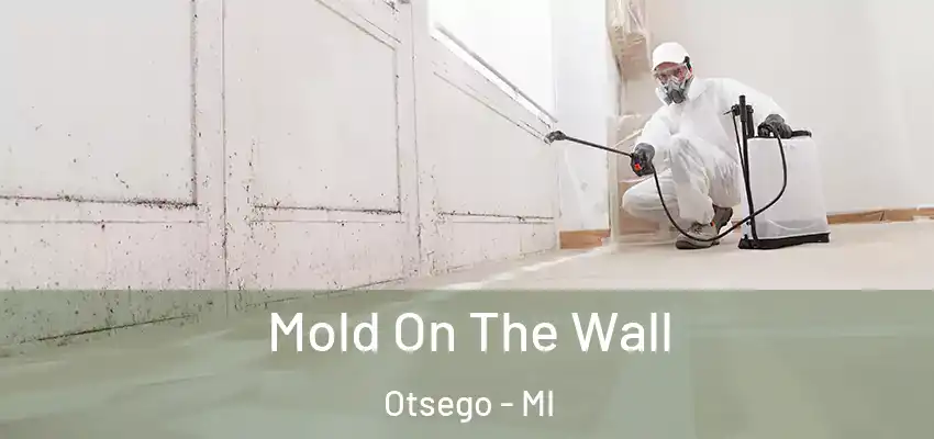  Mold On The Wall Otsego - MI