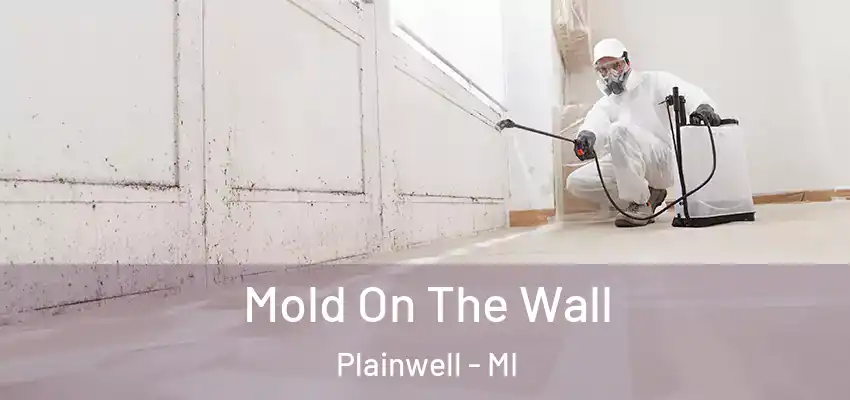  Mold On The Wall Plainwell - MI